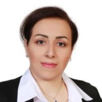 Sima Mohseni