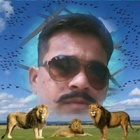 Chauhanvanrajsinh Bharatsinh