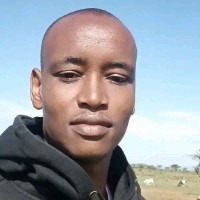Kiparin Lororua