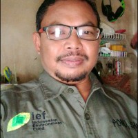 Pono Pono