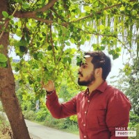 Nishant Sharma