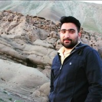 naser davarzani