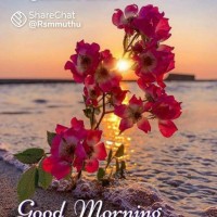Keerthi Ravi