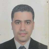 tamer kamel