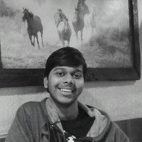 Madhu Sankeerth Dammati