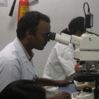 Bharathi Rajan Uraliappan Deiveegarajan