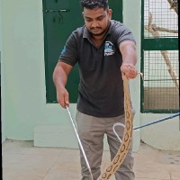 Srinivas M