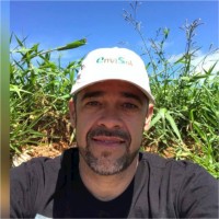 João Pavanelli