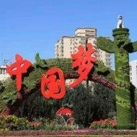王阿平