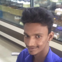 Gopi N