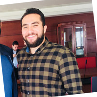 Waleed Wasfy