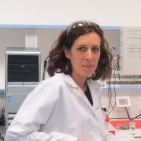 Mihai Iulia