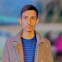 Web Developer