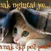 Wan Zul