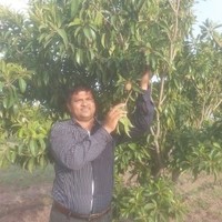 Shankarbhai Ghodakiya