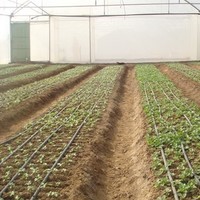 International Farm Tech Solutions