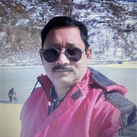 Rajeev Pathania