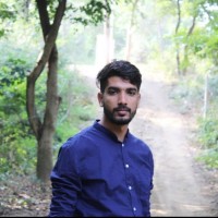 Raj Singh