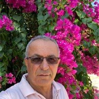 Amed Kisa