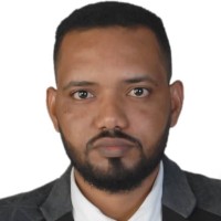 Mohammed Ahmed Eltayeb