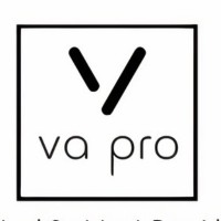 Virtual Assistant Provider