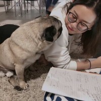 祁珈汝
