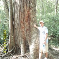 Matt-Westmoreland WTC
