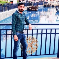 Muhammad Shehzad Awan