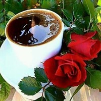 Gamal Mohamed