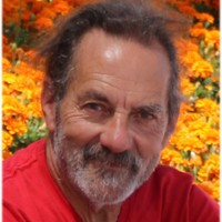 Francisco J. López García