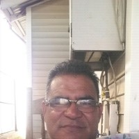 frank albisinni