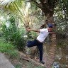 Lực Hồ