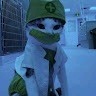 NiNjA CAT