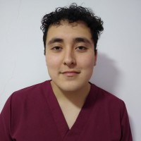 Javier Pavez
