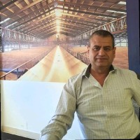 Majdi Daoud