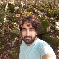 Naser Alijani Talaboni