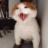 张义诚