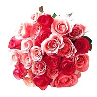 Vimitha A