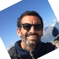 Matthias Ingels