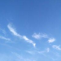王文克