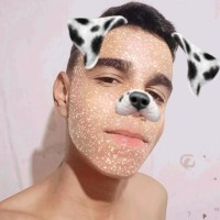 Pedro Henrique Ruas Faustino