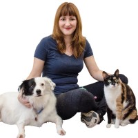 Pets da Lets - Letícia Orlandi