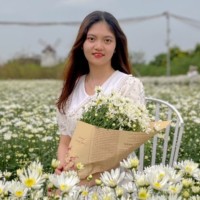 Lê Trang Trần