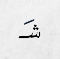 Shatha Alsaawi
