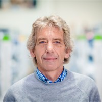 Piet Viaene