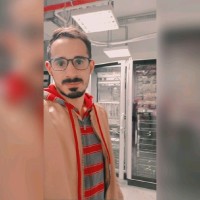 Mohamed Ghareeb