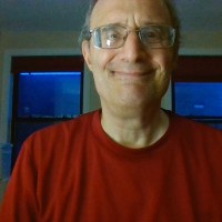 David Stein