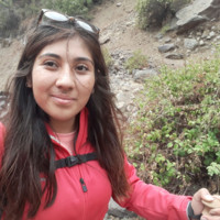 Adianelis Pizarro Campos