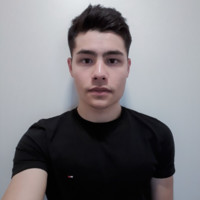 Vincent Wisard