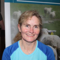 Berit Hansen